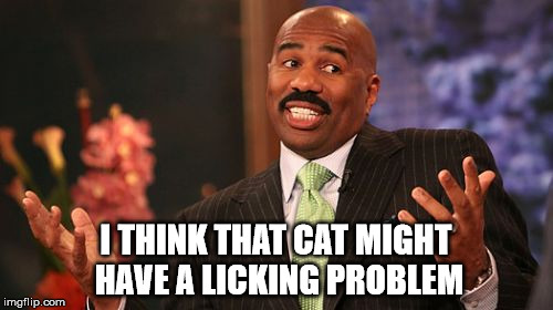 Steve Harvey Meme | I THINK THAT CAT MIGHT HAVE A LICKING PROBLEM | image tagged in memes,steve harvey | made w/ Imgflip meme maker