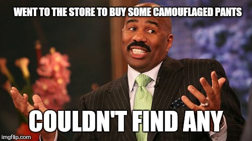 WENT TO THE STORE TO BUY SOME CAMOUFLAGED PANTS; COULDN'T FIND ANY | image tagged in memes,steve harvey | made w/ Imgflip meme maker