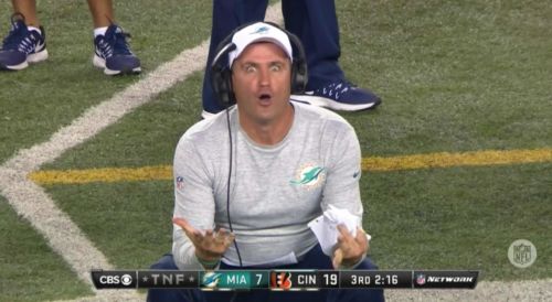 High Quality miami dolphins coach wtf are you doing Blank Meme Template
