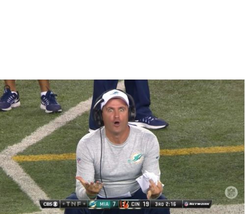 miami dolphins coach wtf are you doing  Blank Meme Template