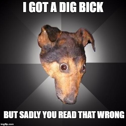 Depression Dog |  I GOT A DIG BICK; BUT SADLY YOU READ THAT WRONG | image tagged in memes,depression dog,big dog | made w/ Imgflip meme maker
