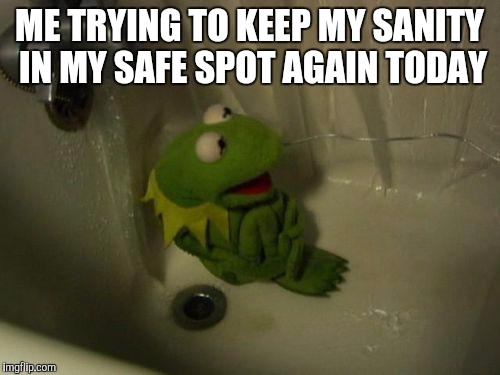 Depressed Kermit | ME TRYING TO KEEP MY SANITY IN MY SAFE SPOT AGAIN TODAY | image tagged in depressed kermit | made w/ Imgflip meme maker