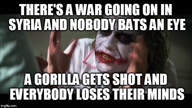 And everybody loses their minds | THERE'S A WAR GOING ON IN SYRIA AND NOBODY BATS AN EYE; A GORILLA GETS SHOT AND EVERYBODY LOSES THEIR MINDS | image tagged in memes,and everybody loses their minds | made w/ Imgflip meme maker