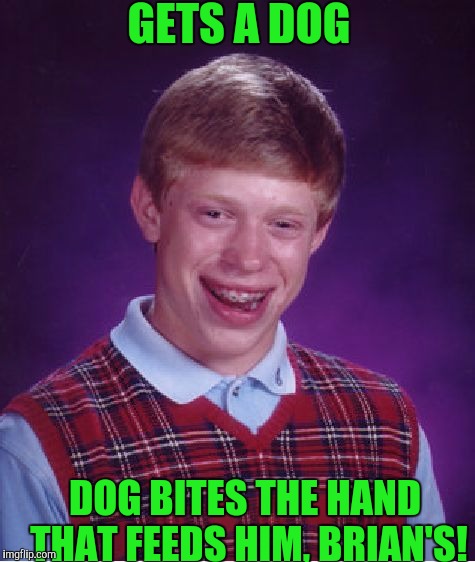 Bad Luck Brian Meme | GETS A DOG; DOG BITES THE HAND THAT FEEDS HIM, BRIAN'S! | image tagged in memes,bad luck brian | made w/ Imgflip meme maker