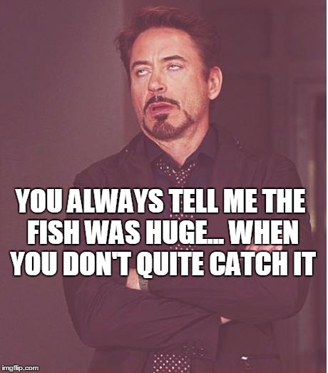 Face You Make Robert Downey Jr Meme | YOU ALWAYS TELL ME THE FISH WAS HUGE... WHEN YOU DON'T QUITE CATCH IT | image tagged in memes,face you make robert downey jr | made w/ Imgflip meme maker