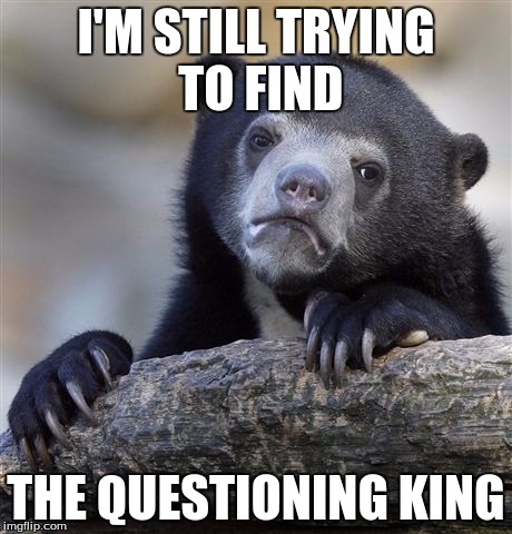 Confession Bear | I'M STILL TRYING TO FIND; THE QUESTIONING KING | image tagged in memes,confession bear | made w/ Imgflip meme maker