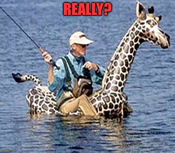 REALLY? | made w/ Imgflip meme maker