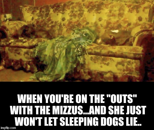 WHEN YOU'RE ON THE "OUTS" WITH THE MIZZUS...AND SHE JUST WON'T LET SLEEPING DOGS LIE.. | image tagged in bad jokes | made w/ Imgflip meme maker