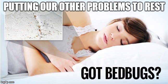 CLASSIC DIVERSION | PUTTING OUR OTHER PROBLEMS TO REST | image tagged in bed bugs control,school,net school spending,overcrowding | made w/ Imgflip meme maker