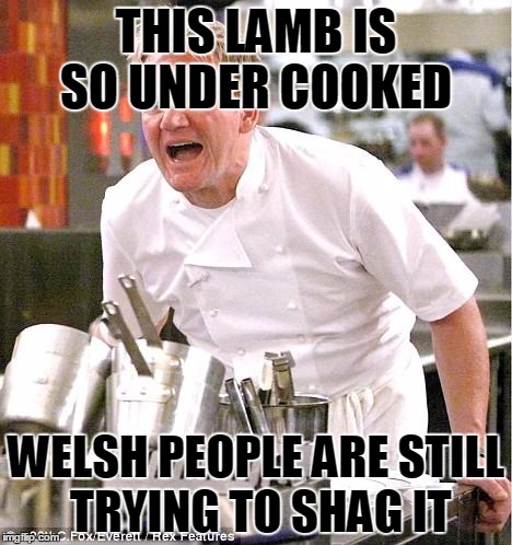 Chef Gordon Ramsay | THIS LAMB IS SO UNDER COOKED; WELSH PEOPLE ARE STILL TRYING TO SHAG IT | image tagged in memes,chef gordon ramsay | made w/ Imgflip meme maker