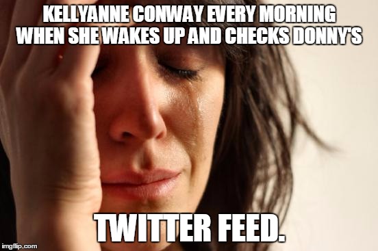 First World Problems | KELLYANNE CONWAY EVERY MORNING WHEN SHE WAKES UP AND CHECKS DONNY'S; TWITTER FEED. | image tagged in memes,first world problems | made w/ Imgflip meme maker