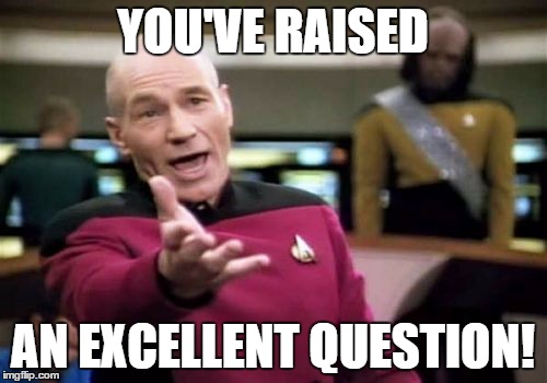 Picard Wtf Meme | YOU'VE RAISED AN EXCELLENT QUESTION! | image tagged in memes,picard wtf | made w/ Imgflip meme maker