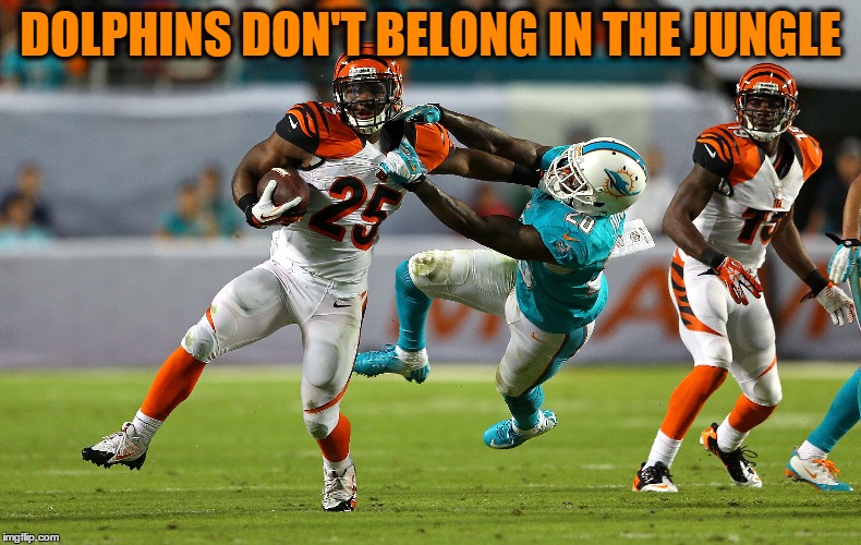 In The Jungle | DOLPHINS DON'T BELONG IN THE JUNGLE | image tagged in bengals | made w/ Imgflip meme maker