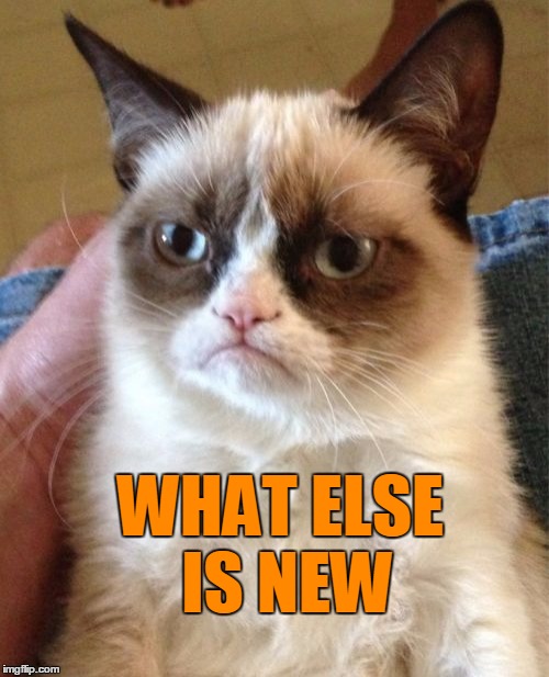 Grumpy Cat Meme | WHAT ELSE IS NEW | image tagged in memes,grumpy cat | made w/ Imgflip meme maker
