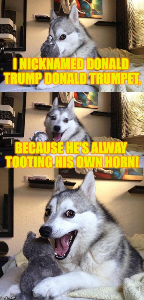 Yes I made a political meme. But come on, I couldn't resist submitting this pun. | I NICKNAMED DONALD TRUMP DONALD TRUMPET, BECAUSE HE'S ALWAY TOOTING HIS OWN HORN! | image tagged in memes,bad pun dog,donald trump,trumpet,funny memes | made w/ Imgflip meme maker