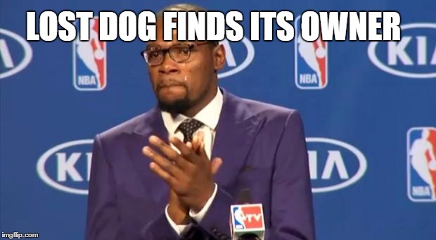 You The Real MVP | LOST DOG FINDS ITS OWNER | image tagged in memes,you the real mvp | made w/ Imgflip meme maker