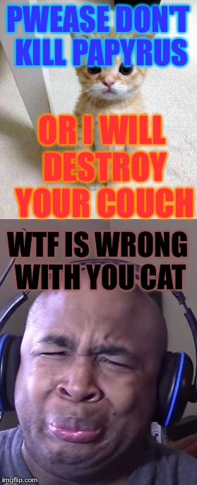 PWEASE DON'T KILL PAPYRUS; OR I WILL DESTROY YOUR COUCH; WTF IS WRONG WITH YOU CAT | image tagged in cute cat | made w/ Imgflip meme maker