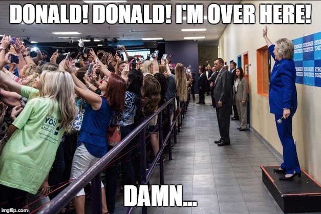 Whoever is voting for Donald...raise their hand! | DONALD! DONALD! I'M OVER HERE! DAMN... | image tagged in donald trump,hillary,election 2016,election,funny,political | made w/ Imgflip meme maker