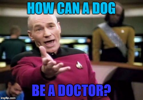 Picard Wtf Meme | HOW CAN A DOG BE A DOCTOR? | image tagged in memes,picard wtf | made w/ Imgflip meme maker