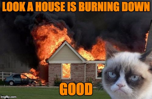 Burn Kitty Meme | LOOK A HOUSE IS BURNING DOWN; GOOD | image tagged in memes,burn kitty | made w/ Imgflip meme maker