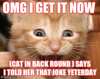 Excited Cat | OMG I GET IT NOW; (CAT IN BACK ROUND ) SAYS I TOLD HER THAT JOKE YETERDAY | image tagged in memes,excited cat | made w/ Imgflip meme maker