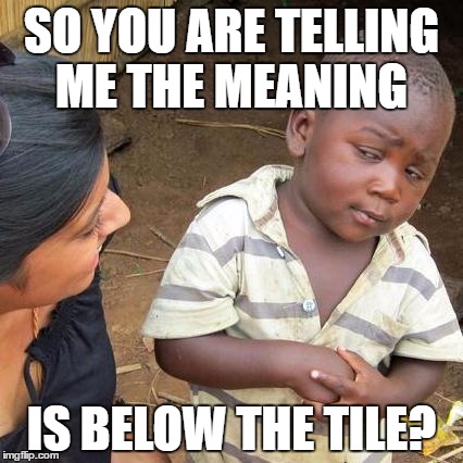 Third World Skeptical Kid Meme | SO YOU ARE TELLING ME THE MEANING IS BELOW THE TILE? | image tagged in memes,third world skeptical kid | made w/ Imgflip meme maker