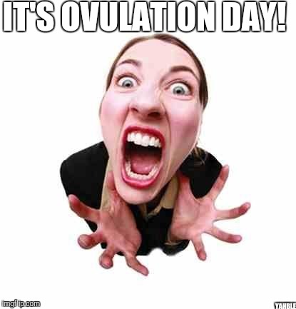 Woman screaming  | IT'S OVULATION DAY! YAHBLE | image tagged in woman screaming | made w/ Imgflip meme maker