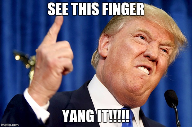 Donald Trump | SEE THIS FINGER; YANG IT!!!!! | image tagged in donald trump | made w/ Imgflip meme maker