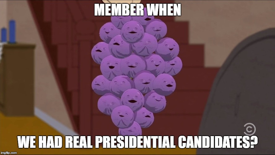 Member Berries | MEMBER WHEN; WE HAD REAL PRESIDENTIAL CANDIDATES? | image tagged in member berries | made w/ Imgflip meme maker