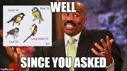 WELL SINCE YOU ASKED | image tagged in memes,steve harvey | made w/ Imgflip meme maker