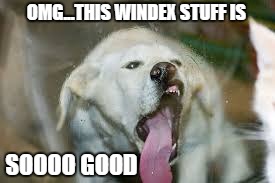 OMG...THIS WINDEX STUFF IS; SOOOO GOOD | image tagged in hooked | made w/ Imgflip meme maker