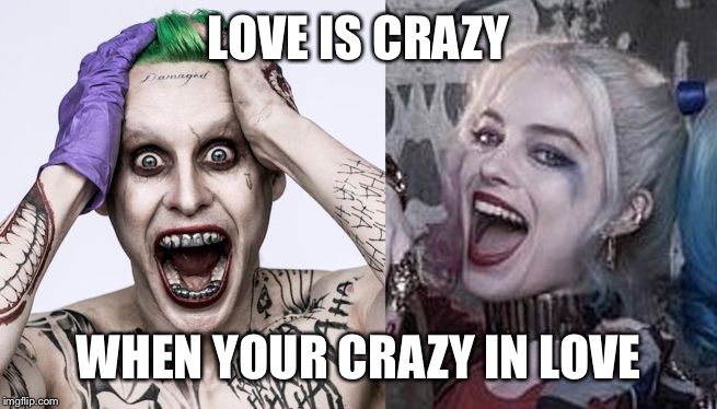 LOVE IS CRAZY; WHEN YOUR CRAZY IN LOVE | image tagged in harley | made w/ Imgflip meme maker