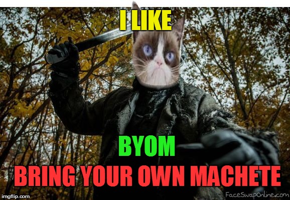 grumpy cat jason | I LIKE BYOM BRING YOUR OWN MACHETE | image tagged in grumpy cat jason | made w/ Imgflip meme maker