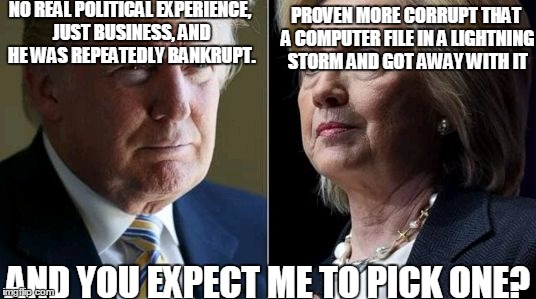 Trump Hillary | NO REAL POLITICAL EXPERIENCE, JUST BUSINESS, AND HE WAS REPEATEDLY BANKRUPT. PROVEN MORE CORRUPT THAT A COMPUTER FILE IN A LIGHTNING STORM AND GOT AWAY WITH IT; AND YOU EXPECT ME TO PICK ONE? | image tagged in trump hillary | made w/ Imgflip meme maker