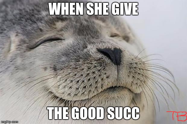Satisfied Seal | WHEN SHE GIVE; THE GOOD SUCC | image tagged in memes,satisfied seal | made w/ Imgflip meme maker