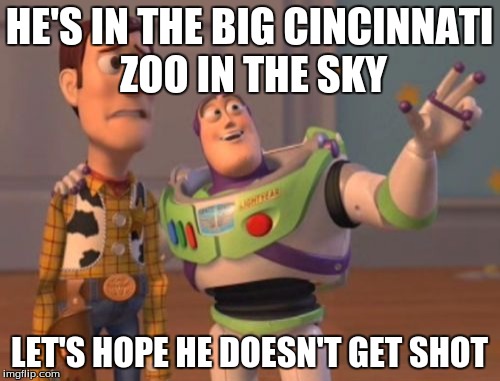 X, X Everywhere Meme | HE'S IN THE BIG CINCINNATI ZOO IN THE SKY LET'S HOPE HE DOESN'T GET SHOT | image tagged in memes,x x everywhere | made w/ Imgflip meme maker