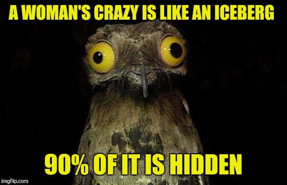 Weird Stuff I Do Potoo Meme | A WOMAN'S CRAZY IS LIKE AN ICEBERG; 90% OF IT IS HIDDEN | image tagged in memes,weird stuff i do potoo | made w/ Imgflip meme maker