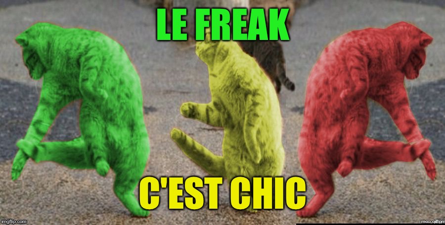 Ah Freak Out! | LE FREAK; C'EST CHIC | image tagged in three dancing raycats,memes | made w/ Imgflip meme maker