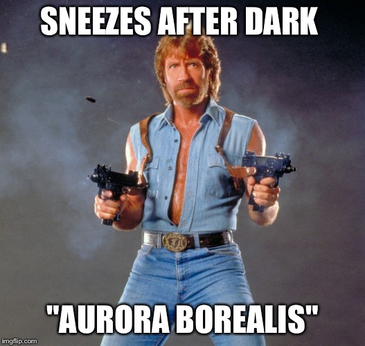 Chuck Norris Guns | SNEEZES AFTER DARK; "AURORA BOREALIS" | image tagged in chuck norris | made w/ Imgflip meme maker