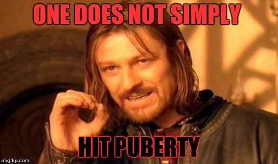 One Does Not Simply Meme | ONE DOES NOT SIMPLY; HIT PUBERTY | image tagged in memes,one does not simply | made w/ Imgflip meme maker