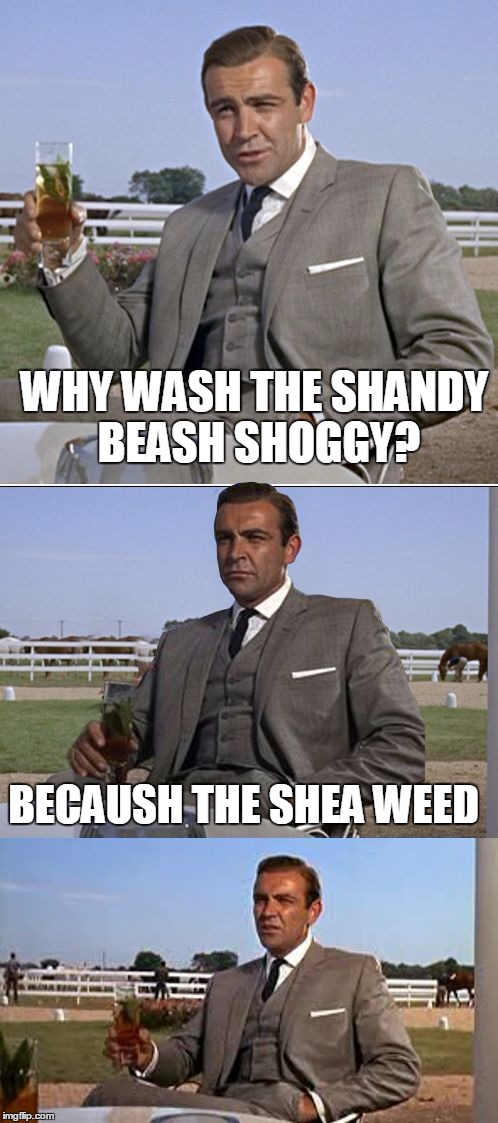 Seaside Humor  | WHY WASH THE SHANDY BEASH SHOGGY? BECAUSH THE SHEA WEED | image tagged in bad pun bond,soggy beaches,sea weed,meme,funny meme | made w/ Imgflip meme maker