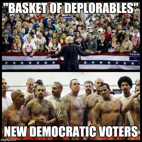 "BASKET OF DEPLORABLES"; NEW DEMOCRATIC VOTERS | made w/ Imgflip meme maker