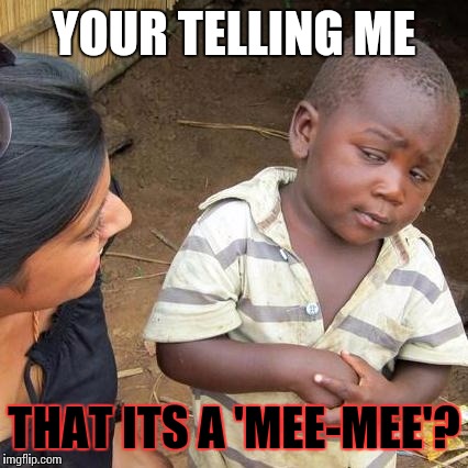 Third World Skeptical Kid Meme | YOUR TELLING ME; THAT ITS A 'MEE-MEE'? | image tagged in memes,third world skeptical kid | made w/ Imgflip meme maker