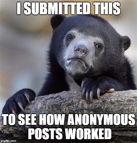 Confession Bear Meme | I SUBMITTED THIS TO SEE HOW ANONYMOUS POSTS WORKED | image tagged in memes,confession bear | made w/ Imgflip meme maker