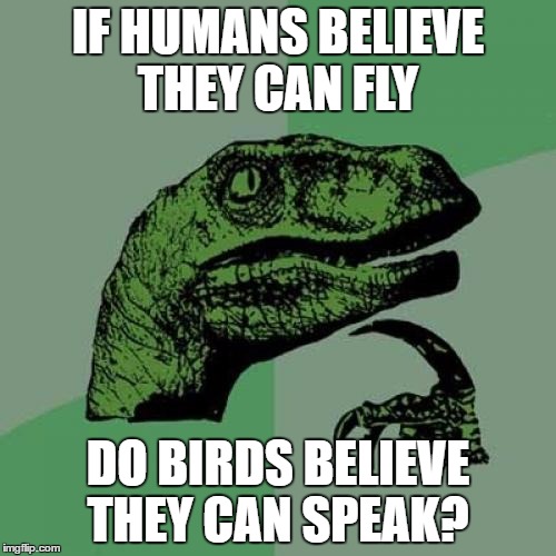 Philosoraptor Meme | IF HUMANS BELIEVE THEY CAN FLY; DO BIRDS BELIEVE THEY CAN SPEAK? | image tagged in memes,philosoraptor | made w/ Imgflip meme maker
