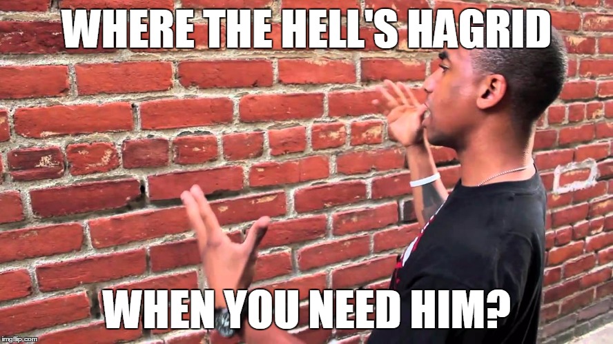 Just Tap the 3rd Brick on the Left | WHERE THE HELL'S HAGRID; WHEN YOU NEED HIM? | image tagged in talking to wall,memes,harry potter,hagrid,diagon alley | made w/ Imgflip meme maker