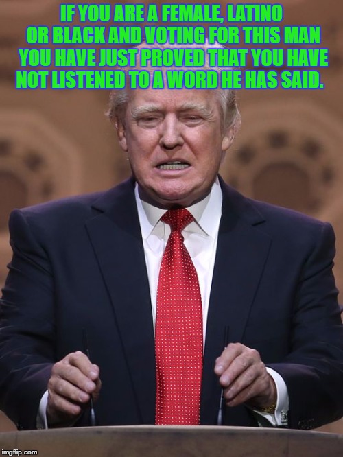 Donald Trump | IF YOU ARE A FEMALE, LATINO OR BLACK AND VOTING FOR THIS MAN YOU HAVE JUST PROVED THAT YOU HAVE NOT LISTENED TO A WORD HE HAS SAID. | image tagged in donald trump | made w/ Imgflip meme maker
