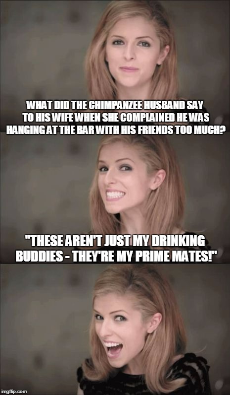 Bad Pun Anna Kendrick | WHAT DID THE CHIMPANZEE HUSBAND SAY TO HIS WIFE WHEN SHE COMPLAINED HE WAS HANGING AT THE BAR WITH HIS FRIENDS TOO MUCH? "THESE AREN'T JUST MY DRINKING BUDDIES - THEY'RE MY PRIME MATES!" | image tagged in memes,bad pun anna kendrick | made w/ Imgflip meme maker