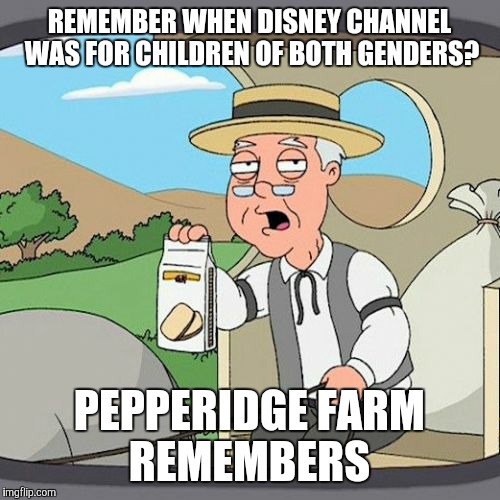 Move over, Mickey. Minnie's running the show now. | REMEMBER WHEN DISNEY CHANNEL WAS FOR CHILDREN OF BOTH GENDERS? PEPPERIDGE FARM REMEMBERS | image tagged in memes,pepperidge farm remembers,disney channel,television,girl shows | made w/ Imgflip meme maker
