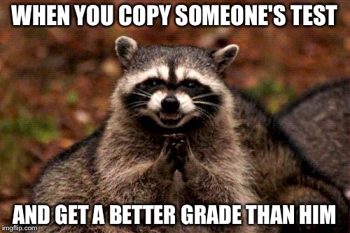 Evil Plotting Raccoon | WHEN YOU COPY SOMEONE'S TEST; AND GET A BETTER GRADE THAN HIM | image tagged in memes,evil plotting raccoon,test,cheating | made w/ Imgflip meme maker
